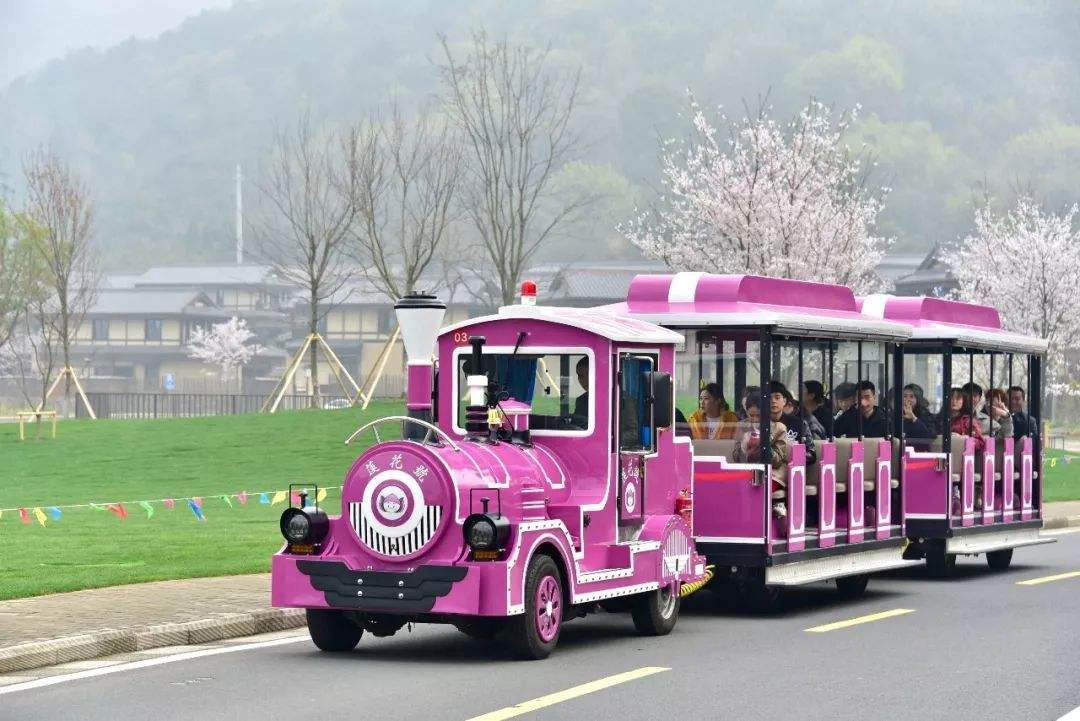 網紅小火車