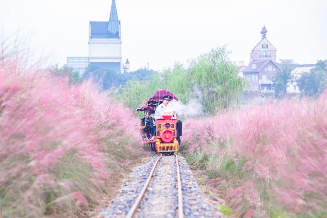 花博匯20座網紅小火車