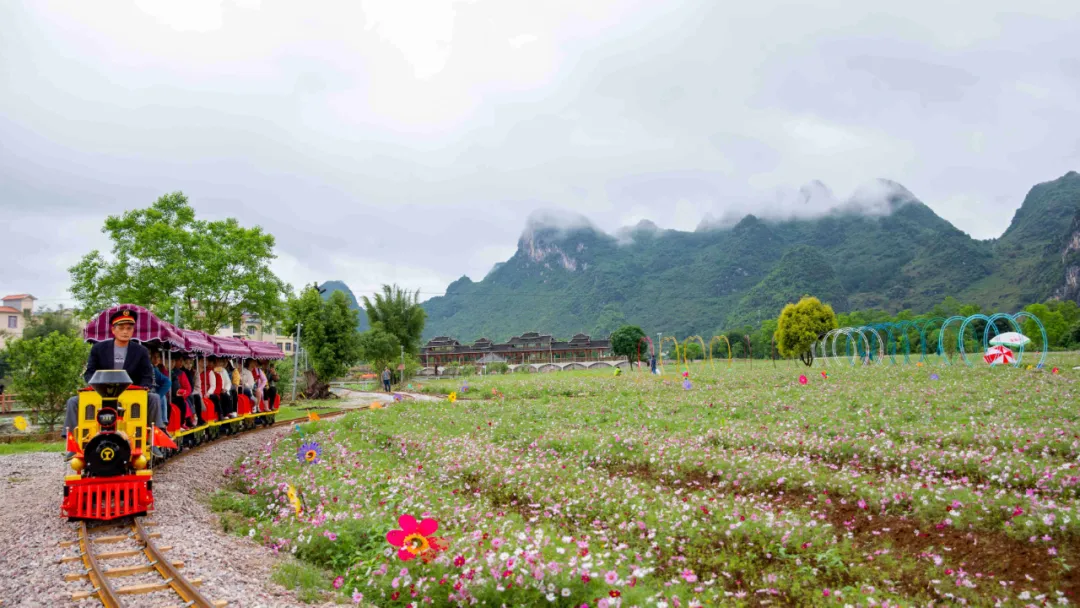 網紅花海小火車