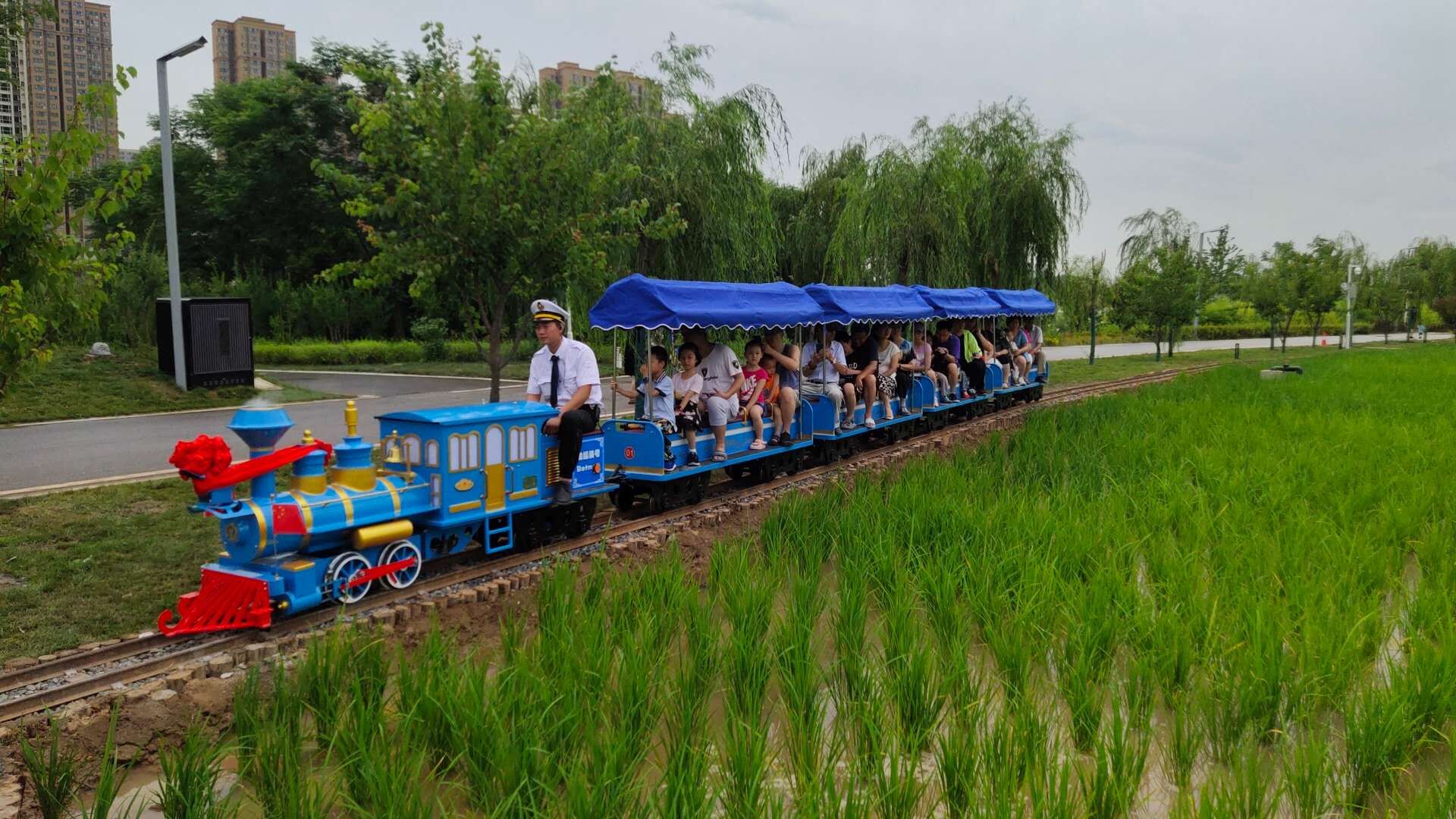 武漢長安公園20座觀光小火車