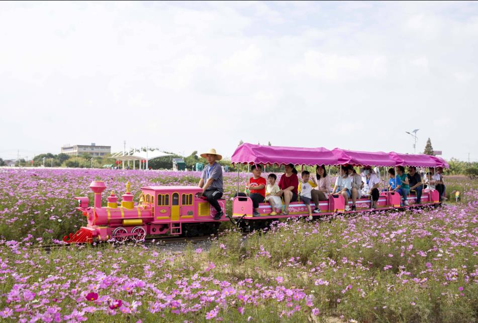 坐小火車相約泰州愛情海 歡樂田園行