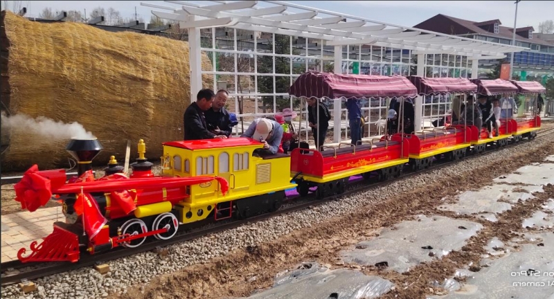 青海千紫園24座網紅小火車