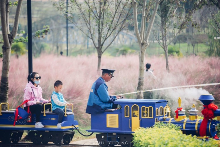 景區網紅小火車