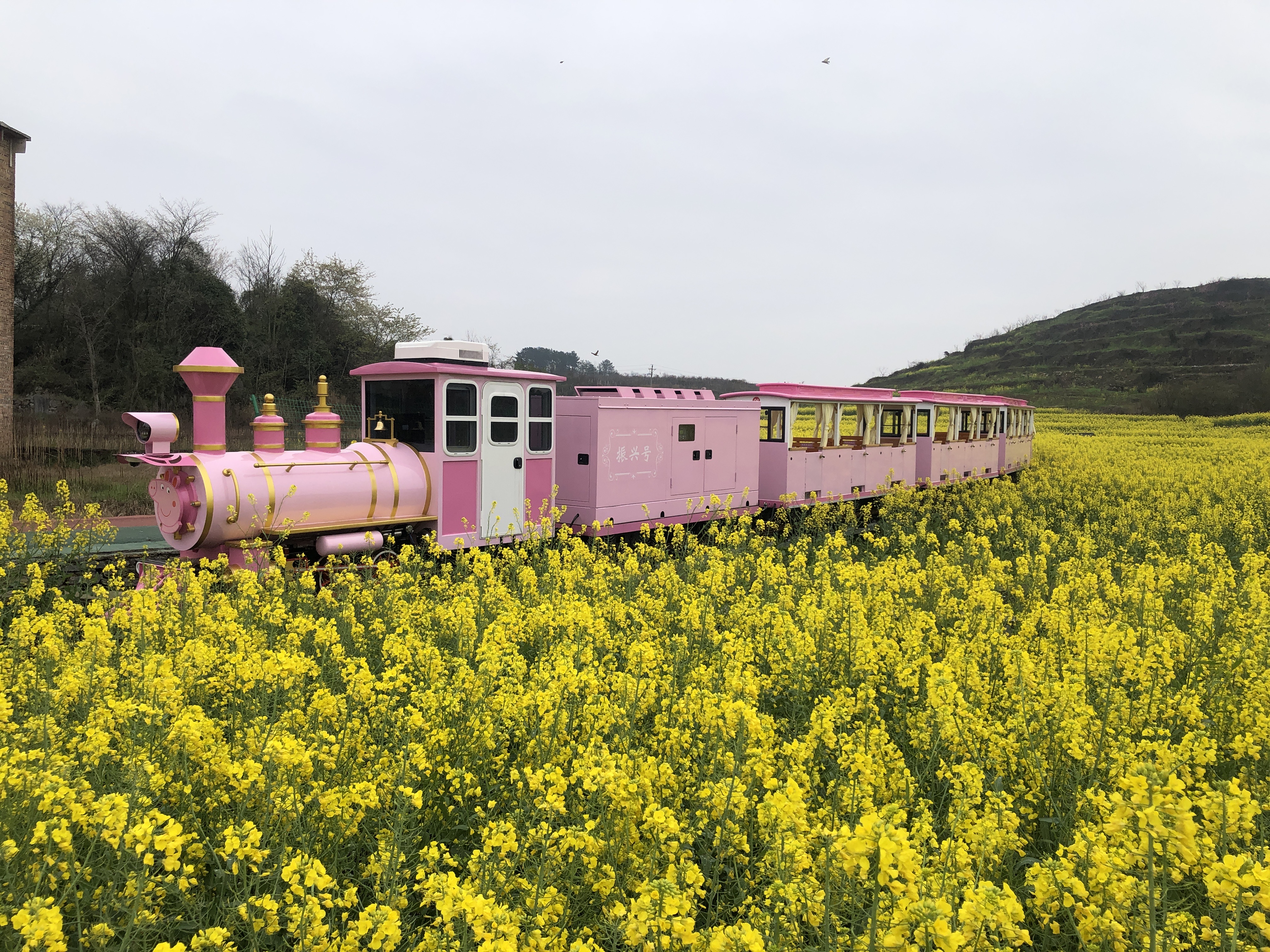 軌道觀光小火車