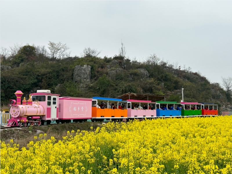 跟隨網紅小火車在昊禹稻花香里說豐年 ！